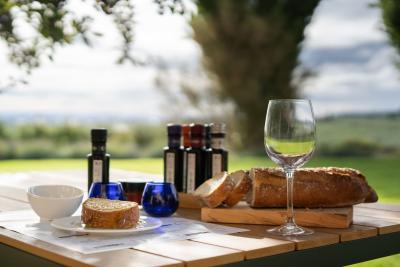 Sábado entre olivos: olivicultor y catador por un día